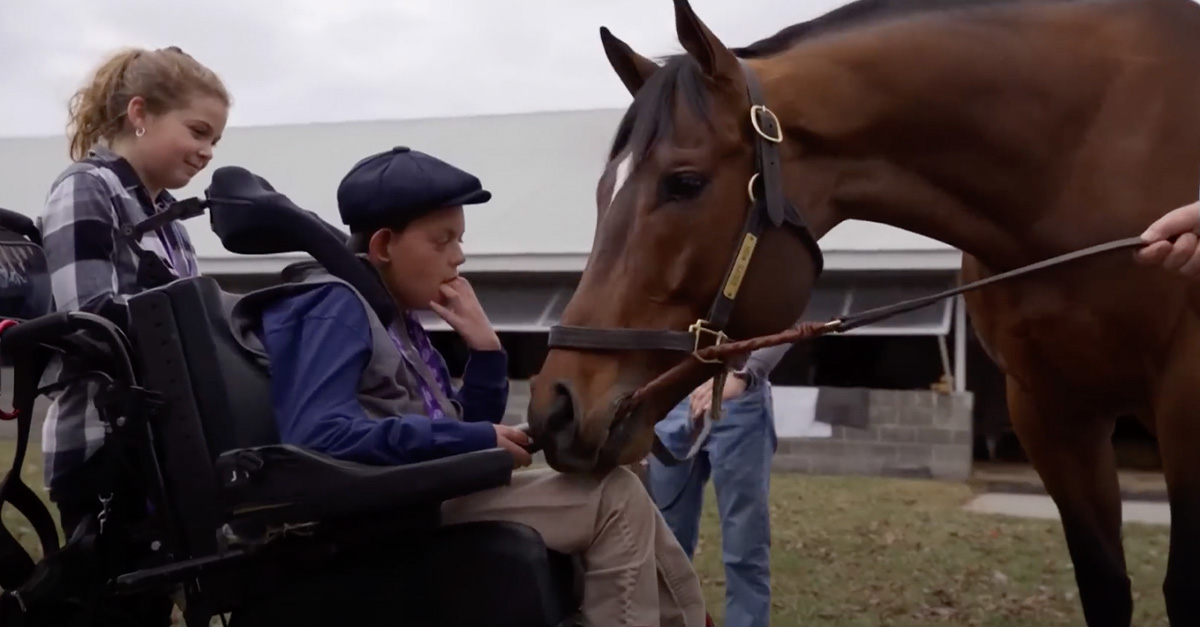 Champion racehorse Cody's WIsh pushes his nose into the lap of wheelchair-bound teenager Cody Dorman as his younger sister, Kylie, watches.