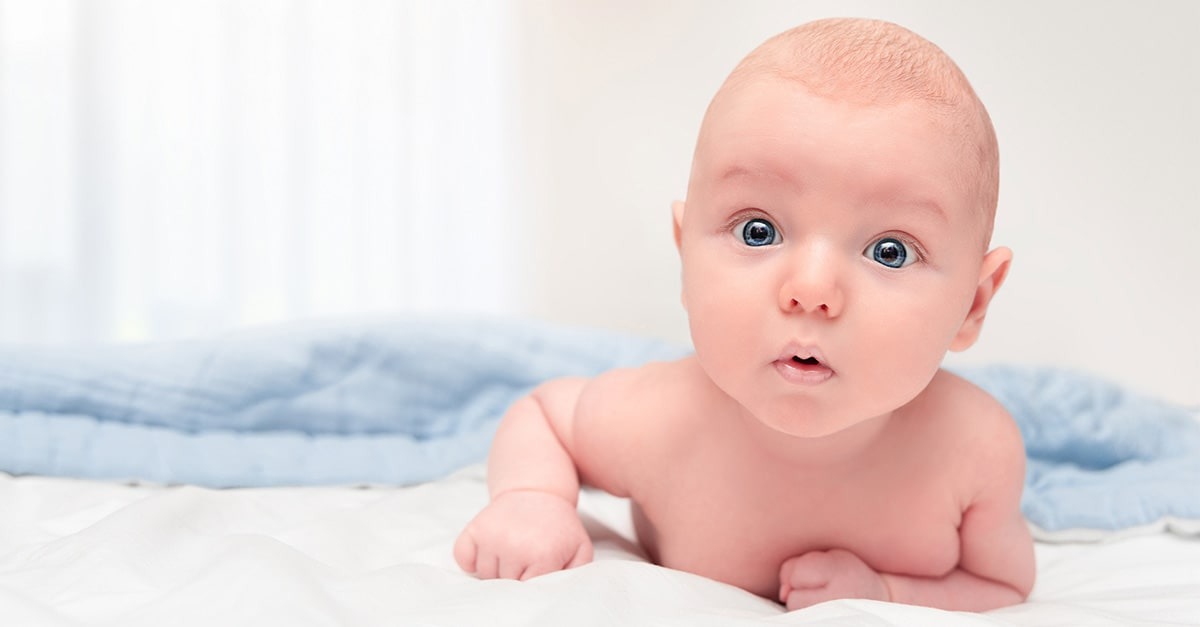 Surprised baby laying on his stomach looks at the camera.